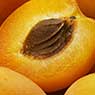 Персик, абрикос